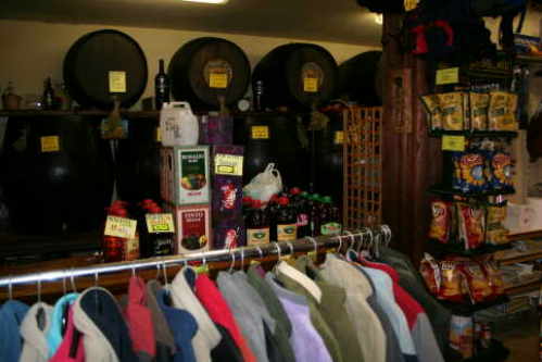 Bodega